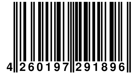 4 260197 291896