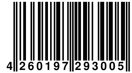 4 260197 293005