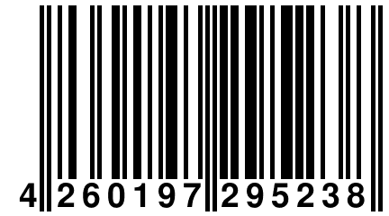 4 260197 295238