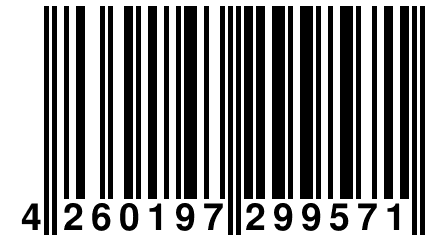 4 260197 299571