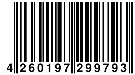 4 260197 299793