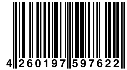 4 260197 597622