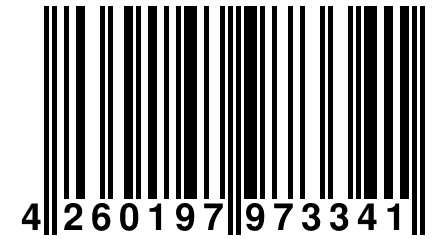 4 260197 973341