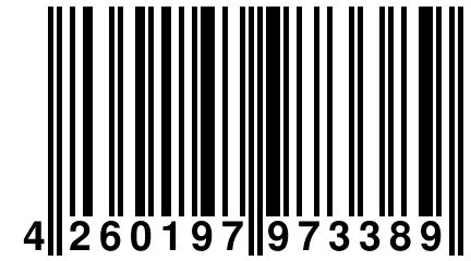 4 260197 973389