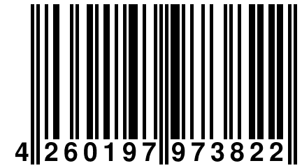 4 260197 973822