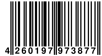 4 260197 973877