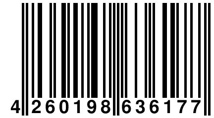 4 260198 636177