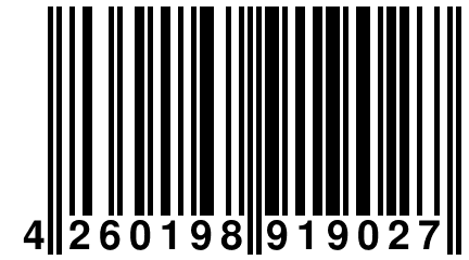 4 260198 919027