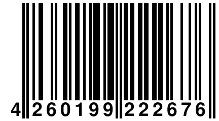 4 260199 222676