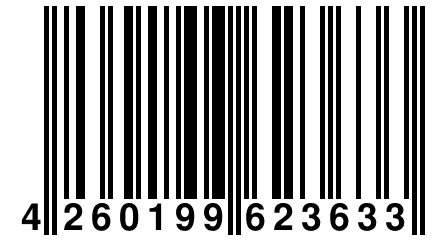 4 260199 623633