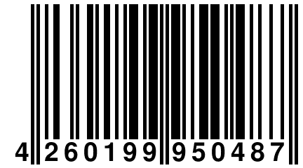 4 260199 950487