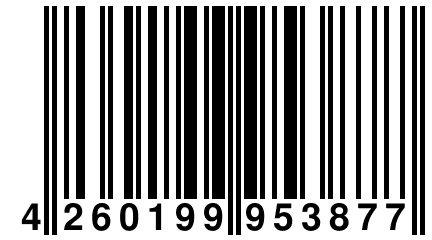 4 260199 953877