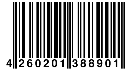 4 260201 388901