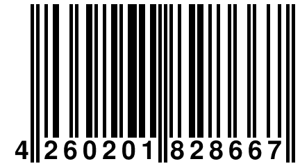 4 260201 828667