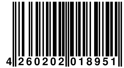 4 260202 018951