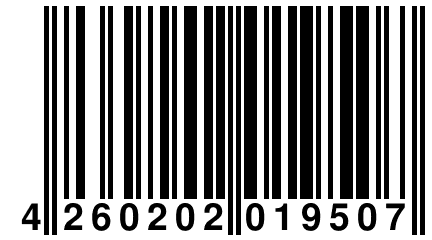 4 260202 019507