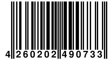 4 260202 490733