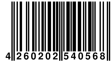 4 260202 540568