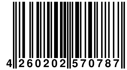 4 260202 570787