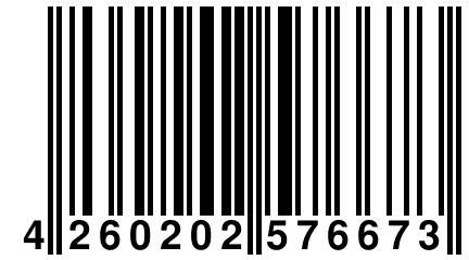 4 260202 576673