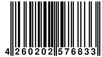 4 260202 576833