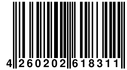 4 260202 618311