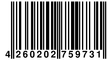 4 260202 759731