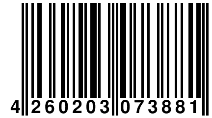 4 260203 073881