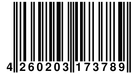 4 260203 173789