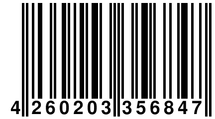 4 260203 356847