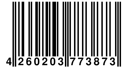 4 260203 773873