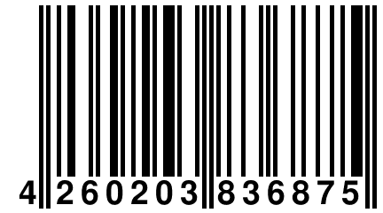 4 260203 836875