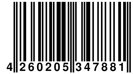 4 260205 347881