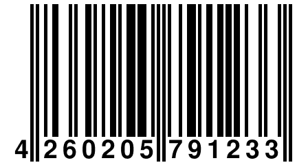 4 260205 791233