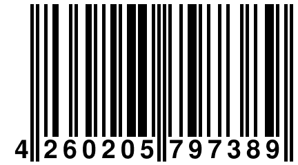 4 260205 797389