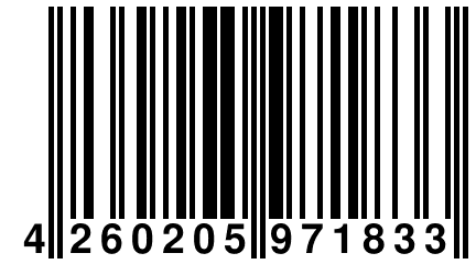 4 260205 971833