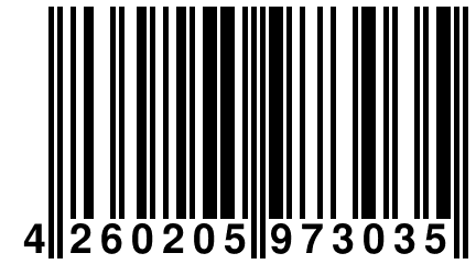 4 260205 973035