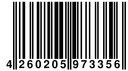 4 260205 973356