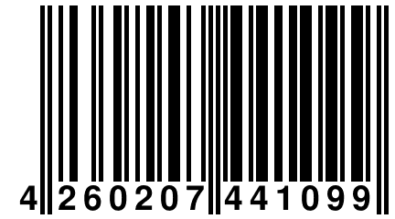 4 260207 441099