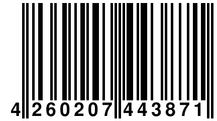 4 260207 443871