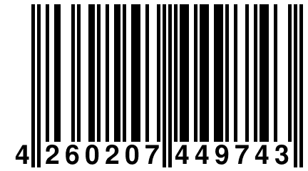 4 260207 449743