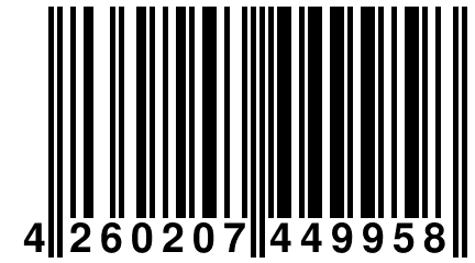 4 260207 449958