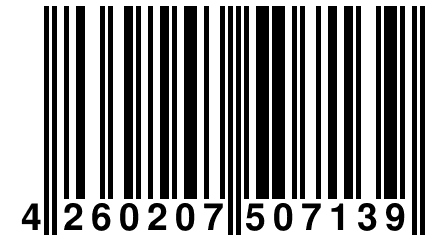 4 260207 507139