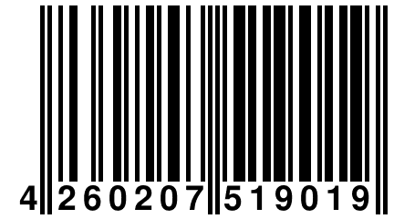 4 260207 519019