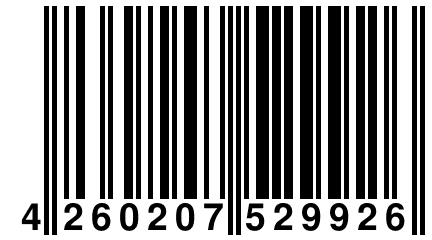 4 260207 529926