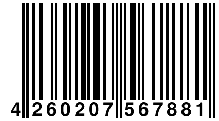 4 260207 567881