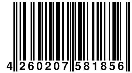 4 260207 581856