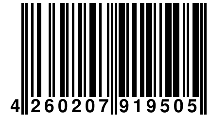 4 260207 919505