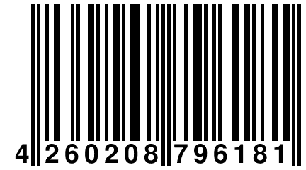 4 260208 796181