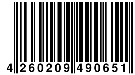 4 260209 490651